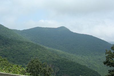 Lane Pinnacle