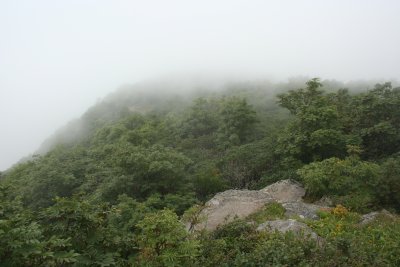 Cloudy Crags