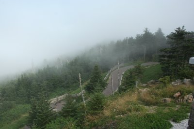 Summit View (sort of)