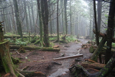 The sign said it was an easy trail!!