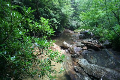 Downstream