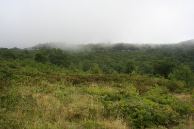Graveyard Fields, BRP