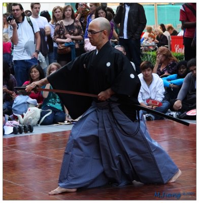 Iaido 1
