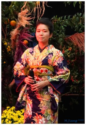 Nodojiman Guest