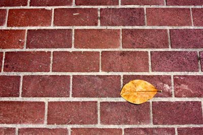Leaf Series: Bricked