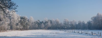 Zandstraatpano.jpg