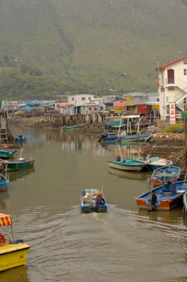 tai o-14.jpg