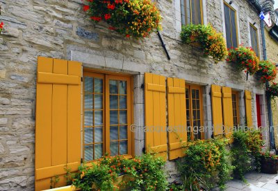 Yellow windows, Old Quebec