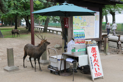 橱
