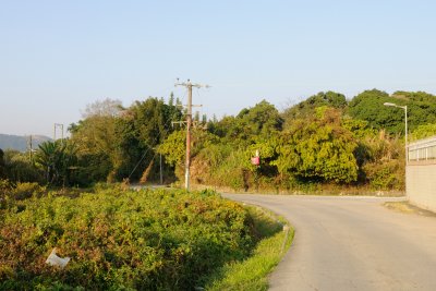 g1/73/459173/3/132544849.vFpriExF.jpg