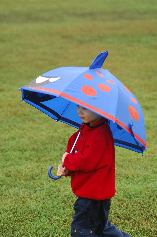 Rain Rain...Go...