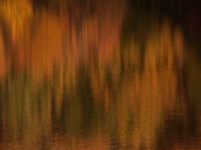 fall-color-reflection-only-.jpg