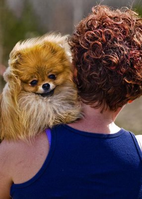 amelia and bentley.jpg