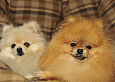 bentley and baily.jpg