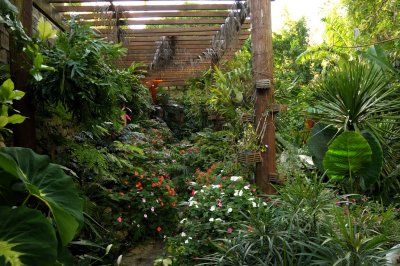 Hunte's Garden