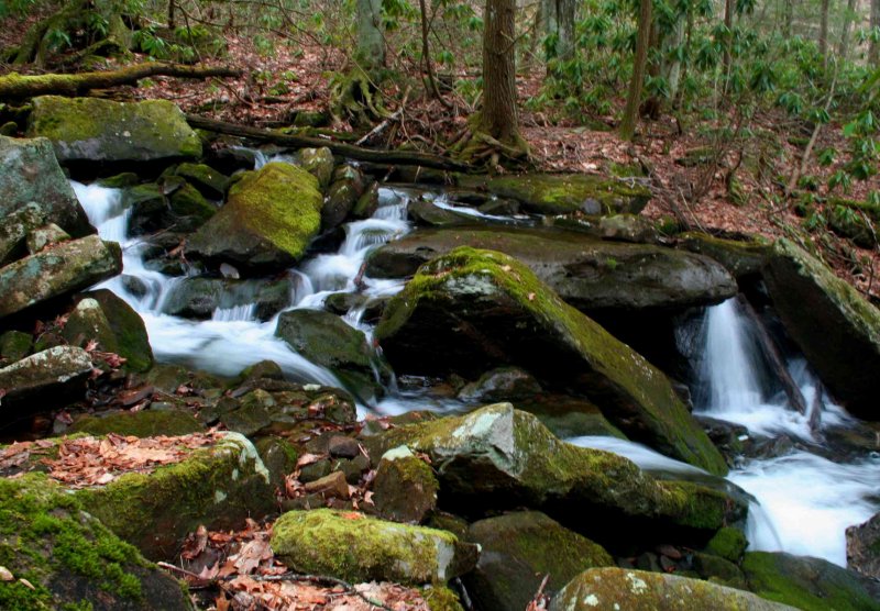 Swiftwater thru Desert Branch Stream tb0409wr.jpg