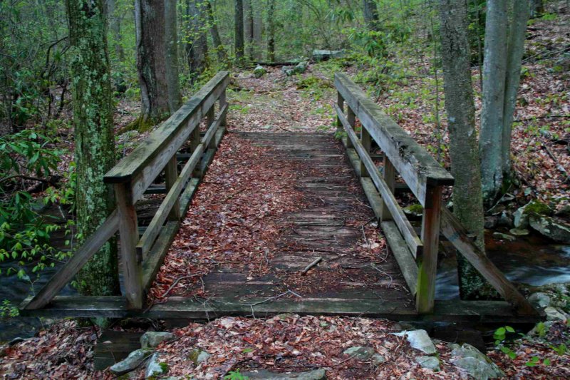 Bridge Across Desert Run Stream tb0509akr.jpg