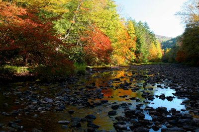 Williams River Reflection Pale Sky tb10081b