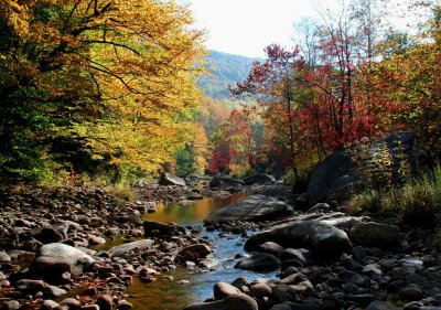 South Fork Autumn Downstream tb10089c