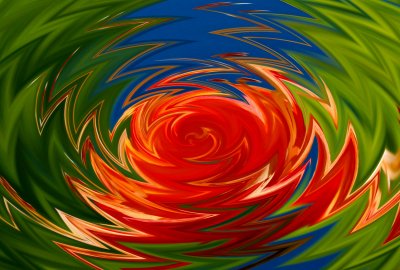 Flame Azalea Spiral Abstract tb1302c.jpg