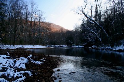 Williams River Snow Timber Scene tb1203cr.jpg