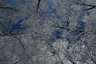 g1/73/522673/3/108317902.GRXLGBKB.jpg