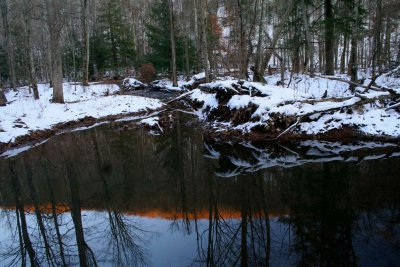 Late Eve Reflection Snowy Backwater tb1203er.jpg