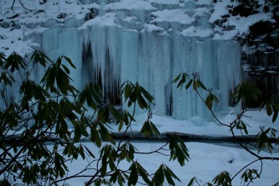 Blue Ice Wall by Rhodadrendron and Stream tb0209hr.jpg