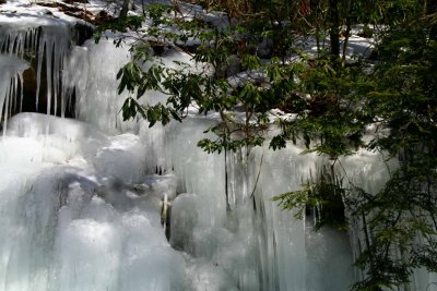 Sunny Ice Scene by Evergreens tb0209ur.jpg