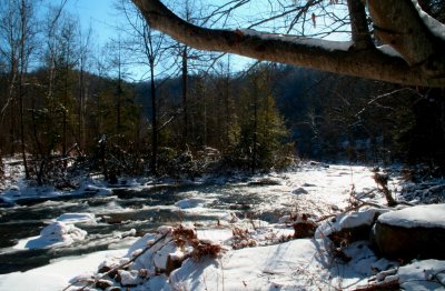Backlit Winter Lower Cherry Scene tb0209akr.jpg