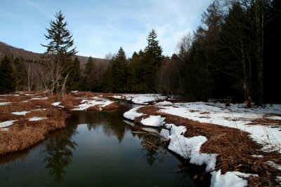Hills Creek Winter Headwaters Blue Sky Scene tb0209bor.jpg