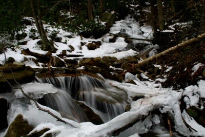 Upper Windy Run Snow Melt Scene tb0209bir.jpg