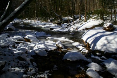North Fork Snowy Down Stream Scene tb0209dkr.jpg