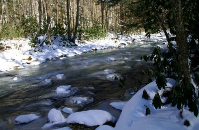 North Fork Icy UpStream Scene tb0209dxr.jpg