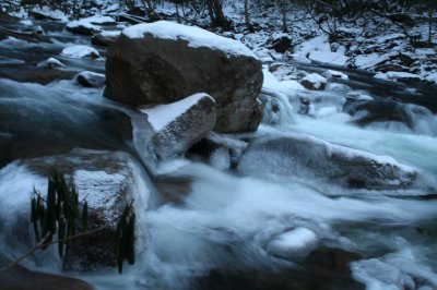 Icy Swiftwater North Fork Stream Scene tb0309kr.jpg