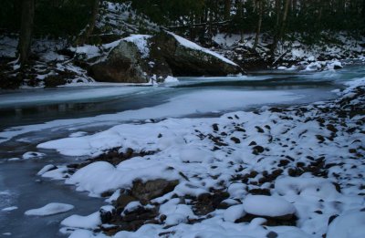 Snowy Stones North Cherry in Woods tb0309gr.jpg