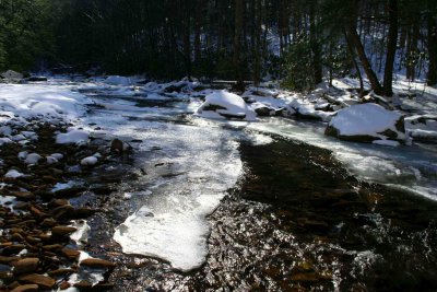 Downstream Sunny Back-lit Winter tb0309vr.jpg
