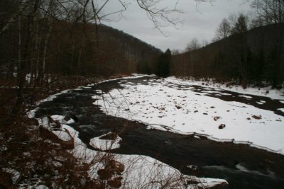 Wintry Williams River Split Stream tb0309yr.jpg