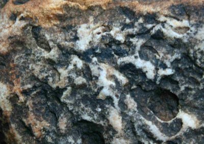 Brown and White Pitted River Stone tb0509vpr.jpg