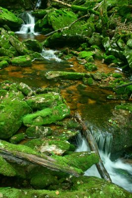 Sugar Creek Mossy Stones Stream Scene v tb0610six.jpg