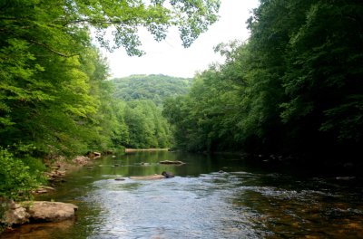 Serene Summer Stretch of Williams River tb0810wgx.jpg