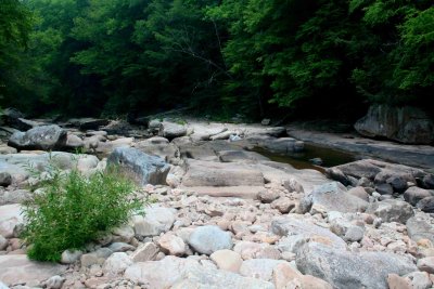 Down Stream Stones and Foliage Williams River tb0710kbr.jpg