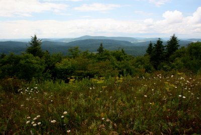 Eastern Mtn Scene from Top Spruce Knob tb0810qrr.jpg