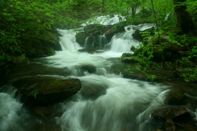 Misty Swiftwater Pulsing Down Jakeman Creek tb0710ygr.jpg