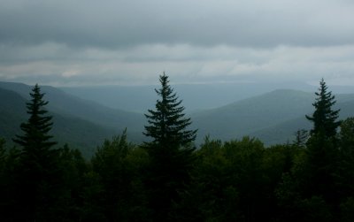 Misty Williams River Valley Behind Triple Spruce tb0910ttr.jpg