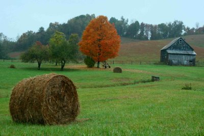 Appalachian Fall Farm Scene Overcast Day tb1010yxr.jpg