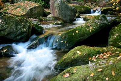 Early Fall Mossy Stones and Swiftwater tb1010xlr.jpg