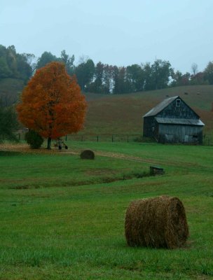Autumn Farm Scene Nicholas County WV v tb1010car.jpg