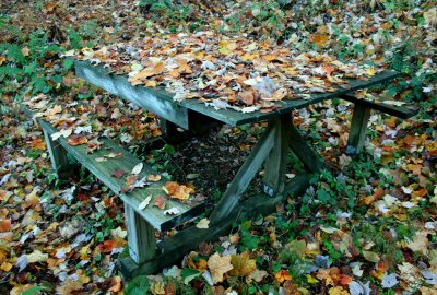 Picnic Table Hidden by Fall Leaves in WV tb1010cer.jpg