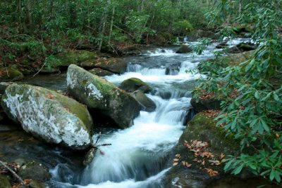 Little Laurel Stream Scene Mid Fall tb1010xor.jpg